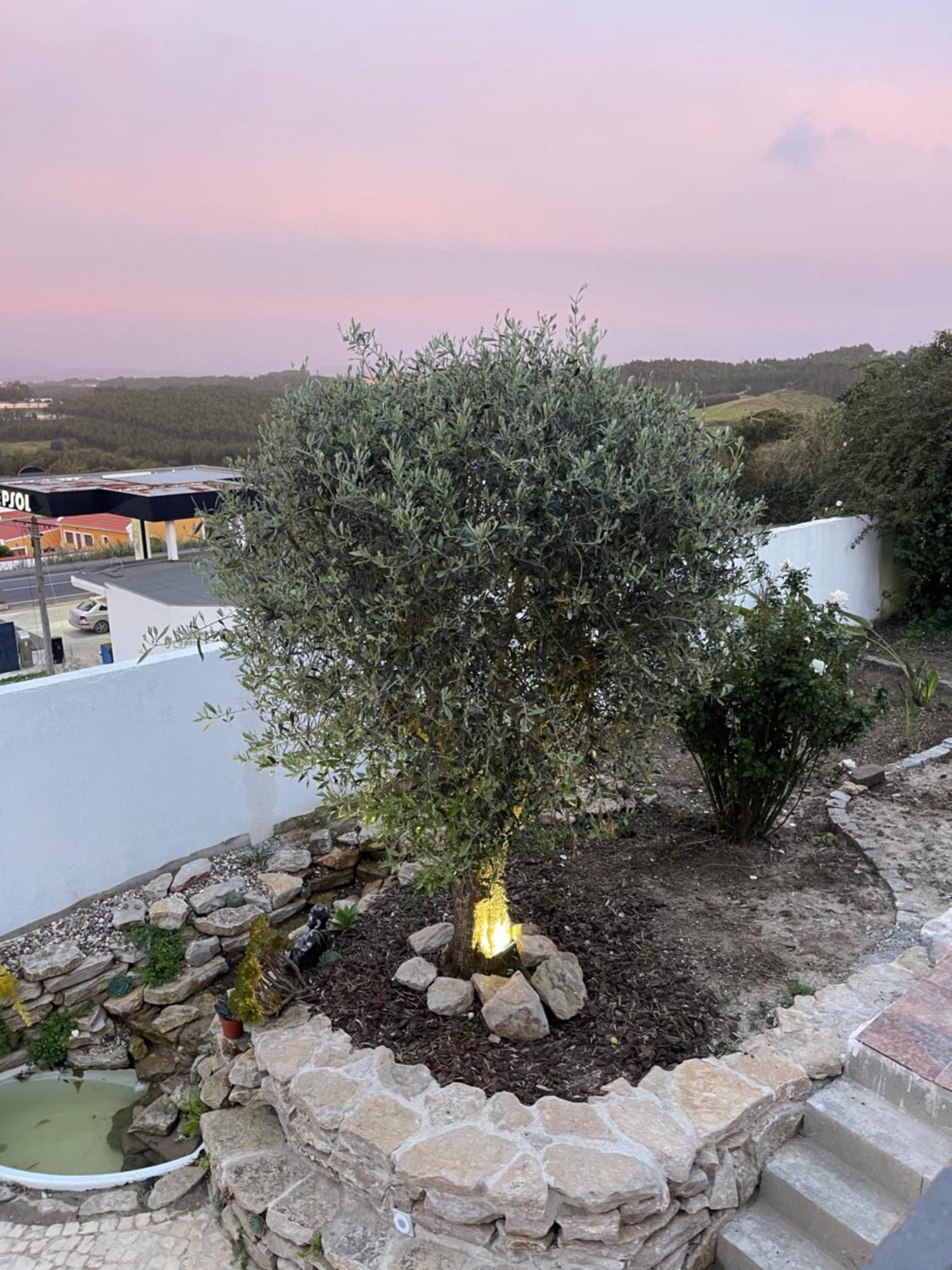 Casa de Férias Neto Pinto - Casa De Ferias / Fins De Semana. Lourinhã